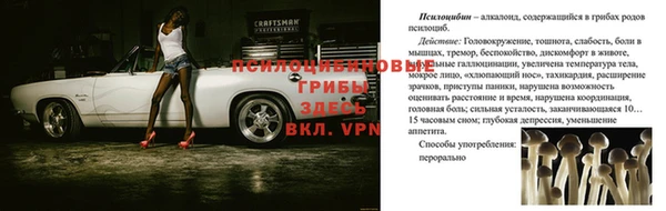 2c-b Бикин
