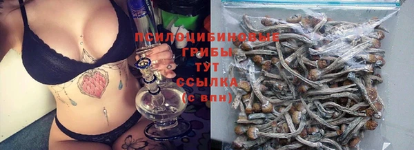 амф Краснослободск