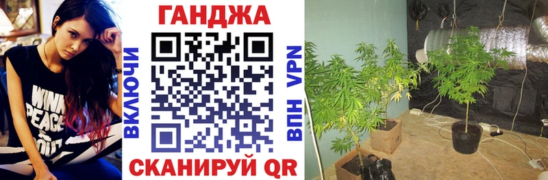 где найти   Нижняя Тура  Канабис SATIVA & INDICA 